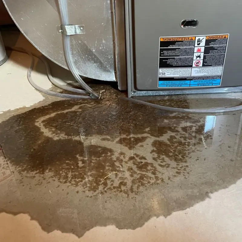 Pipe Burst and Leak Restoration in Buncombe County, NC