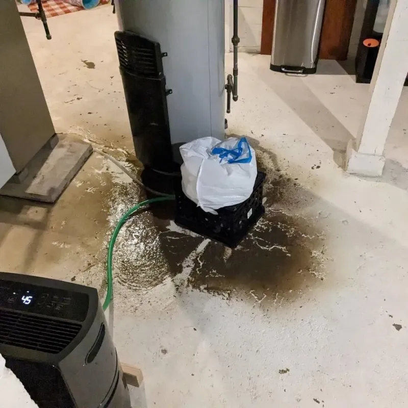 Sewage Backup Cleanup Service in Buncombe County, NC